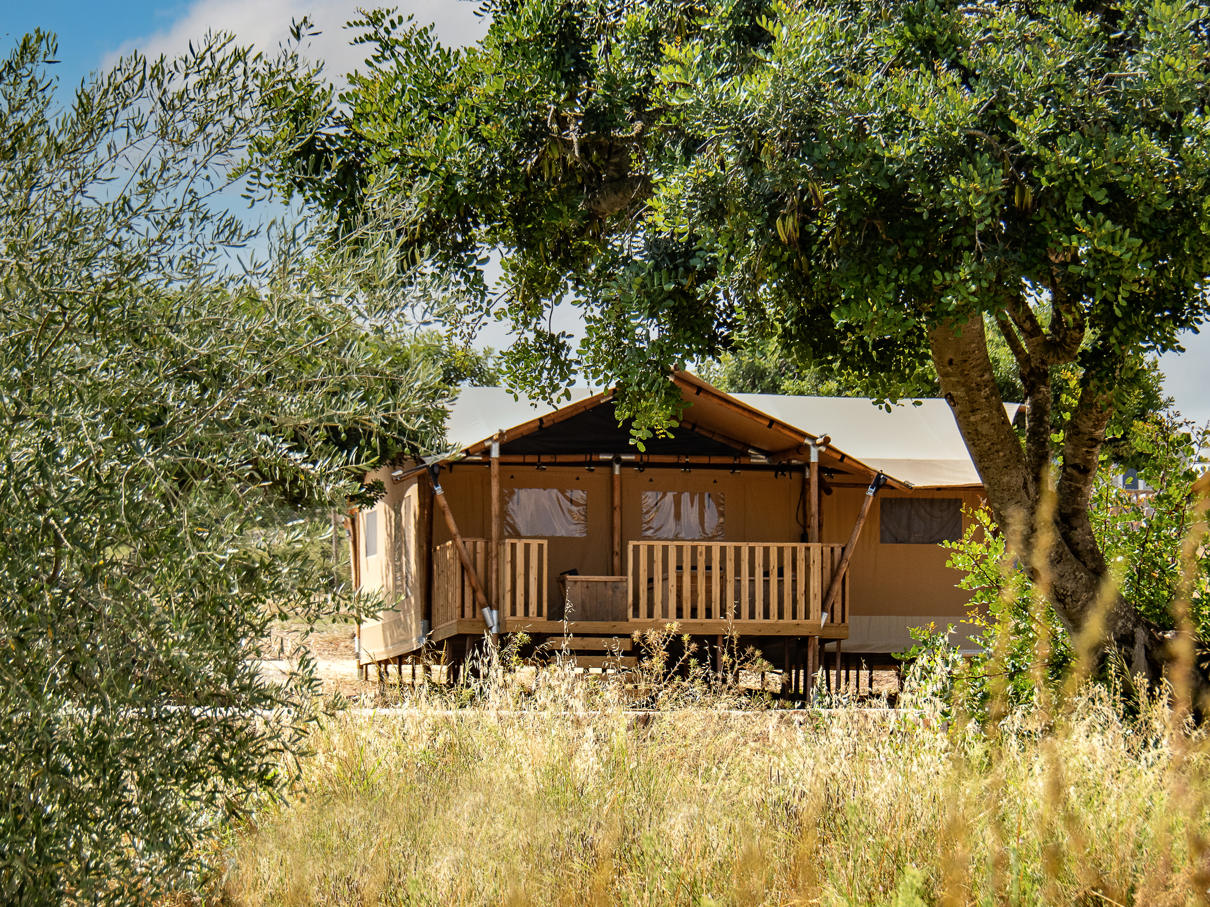 Safari Lodge