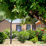 casita oliva dans la verdure mobil home 4/6 personnes